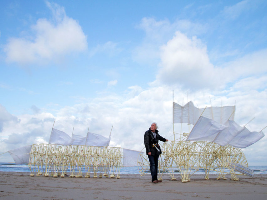 STRANDBEESTEN